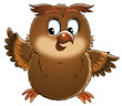 owl