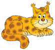 lynx