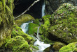 waterfalls group