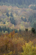 paysage