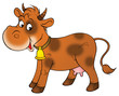 brown cow