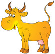 funny cow