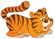 tiger