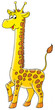 giraffe