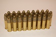 bullets .22