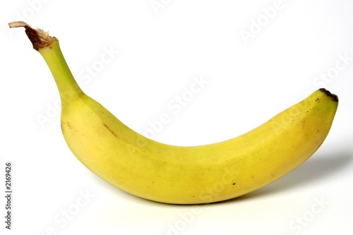 Photo: fruit color fruit color