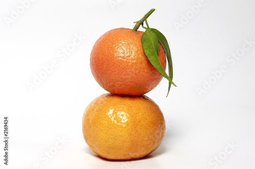 Photo: frutit color frutit color