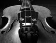 symphonie der formen