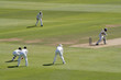 cricket match