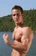 flexed biceps
