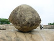 butter ball indien butter ball indien