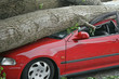 car destroyed car destroyed