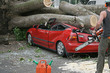 chainsaw rescue chainsaw rescue