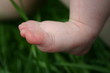 baby foot