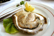 huge oyster huge oyster