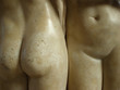 sensuality sensuality