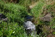 eau de source