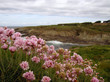 finistère : pointe saint-mathieu finistère : pointe saint-mathieu