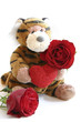 valentines tiger