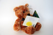 teddy bear