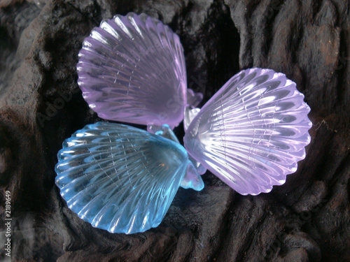 Foto: shell shell