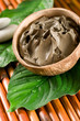 spa black mud