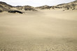 skeleton coast safaris skeleton coast safaris
