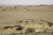 skeleton coast safaris skeleton coast safaris