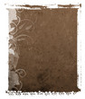 background polaroid transfer