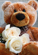 teddy bear and white roses