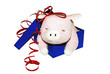 pig