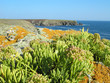 morbihan, île de groix : pointe saint-nicolas morbihan, île de groix : pointe saint-nicolas