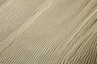 skeleton coast safaris skeleton coast safaris