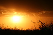 atardecer en el campo mendocino atardecer en el campo mendocino