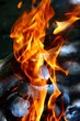 el fuego del asado el fuego del asado