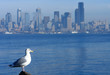 my city