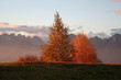 autunno
