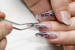 manicure one's nails.