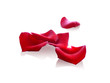 petales roses