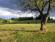 cantal : orage naissant cantal : orage naissant