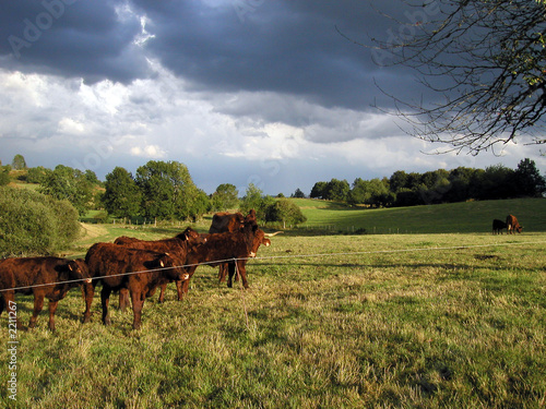 cantal : orage naissant