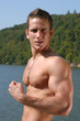 flexed biceps