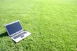 silver laptop on green grass silver laptop on green grass