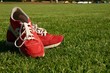 red running shoes on a sports field red running shoes on a sports field