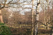 english countryside