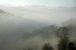 fog