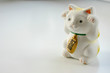 white oriental cat on white background white oriental cat on white background