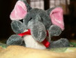 elefantino di peluche