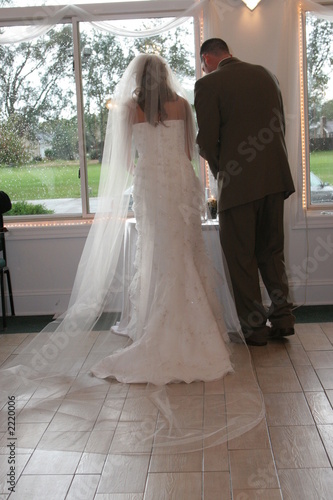 cathedral veil bride dress gown tux back wedding cathedral veil bride dress gown tux back wedding