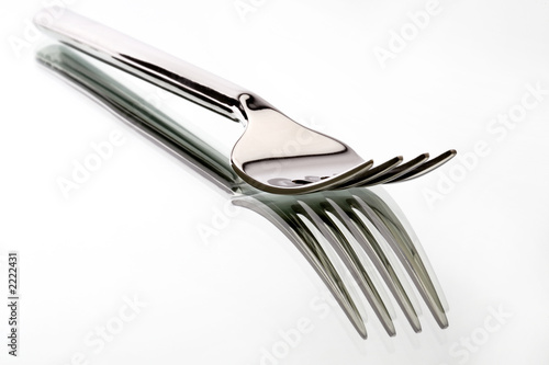 Shiny Fork